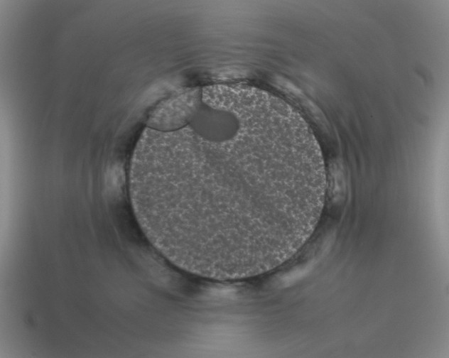 X0000114190523200911061406