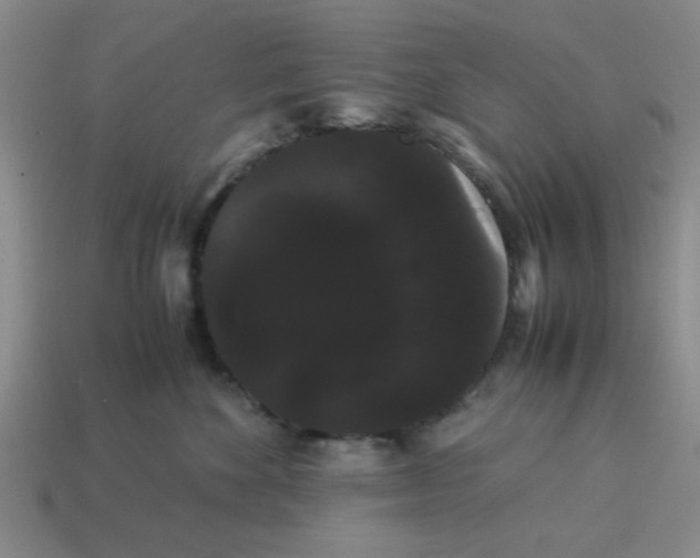 X0000114190524200911061406