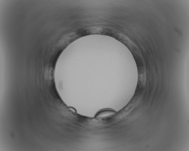 X0000114190525200911061406