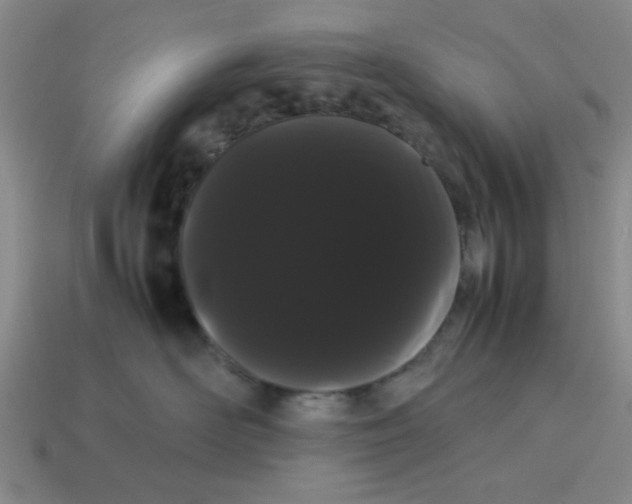 X0000114190526200911061406