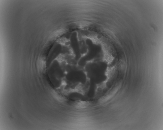 X0000114190527200911061406