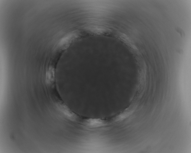 X0000114190528200911061406