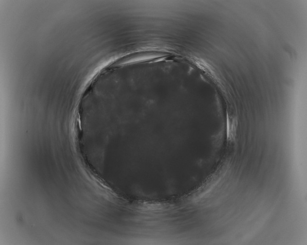 X0000114190531200911061405