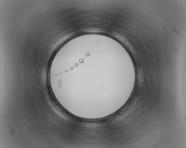 X0000114190533200911061405