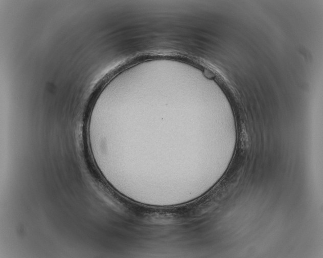 X0000114190535200911061405