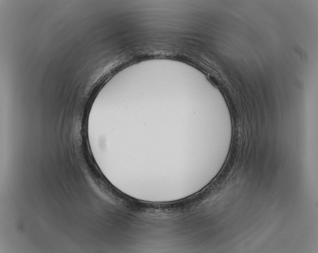 X0000114190538200911061405