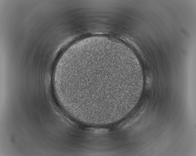 X0000114190539200911061405