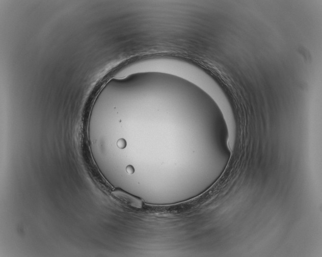 X0000114190540200911061405