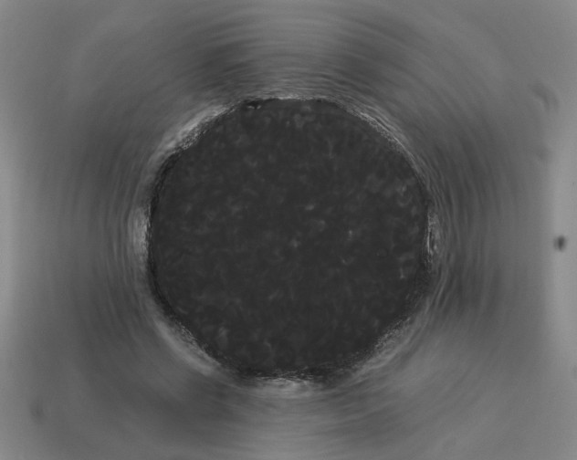 X0000114190542200911061405