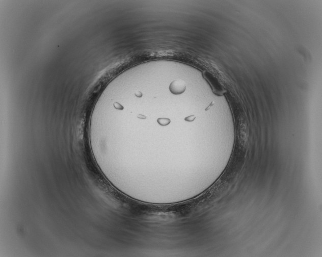 X0000114190543200911061405