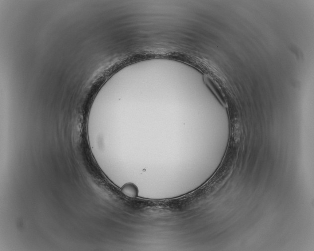 X0000114190544200911061405