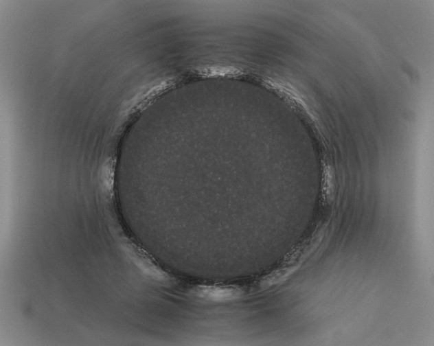 X0000114190545200911061405