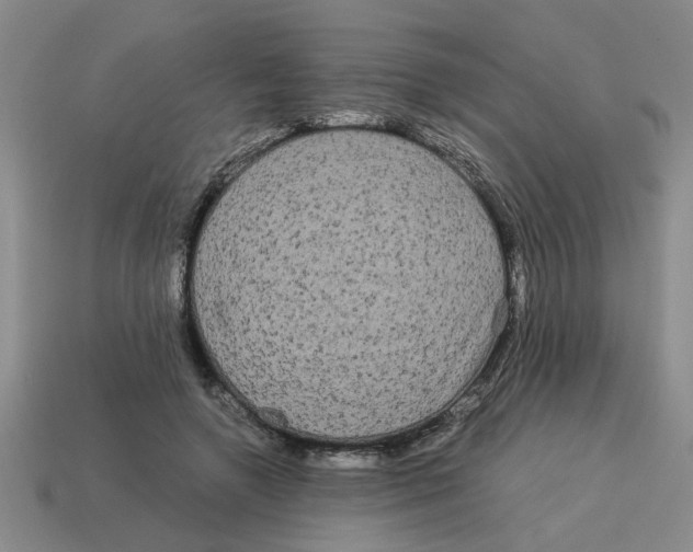 X0000114190546200911061405