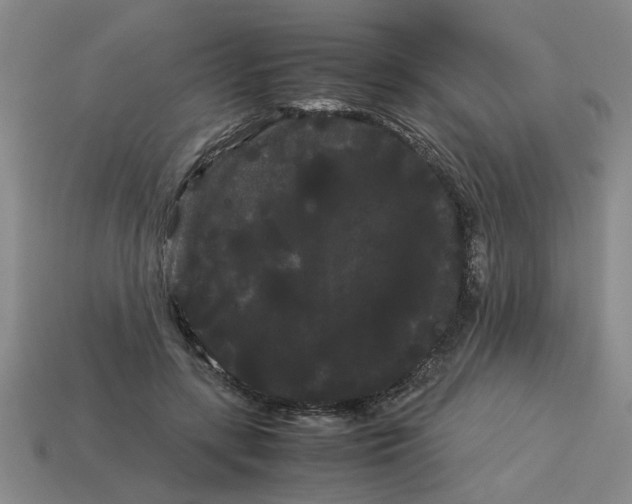 X0000114190547200911061405