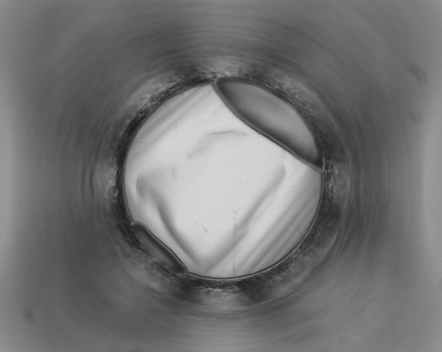 X0000114190548200911061405