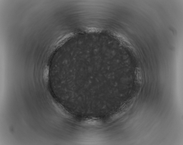 X0000114190550200911061405