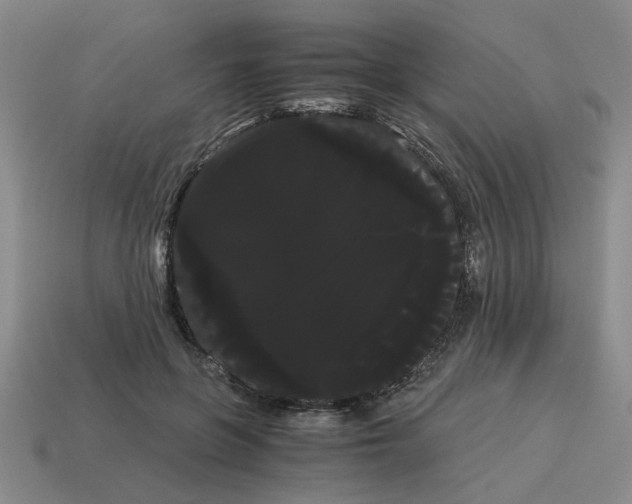 X0000114190551200911061405