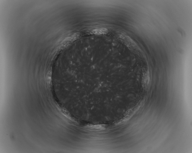 X0000114190553200911061405