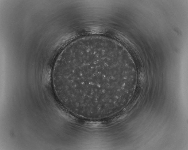 X0000114190554200911061405