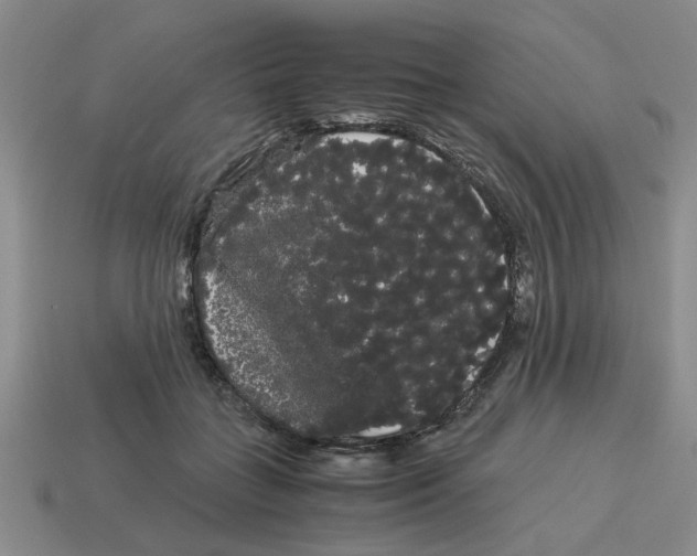 X0000114190555200911061405