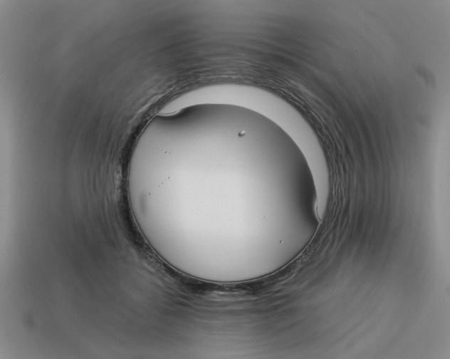 X0000114190556200911061405