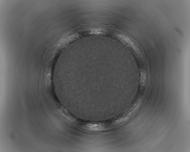 X0000114190557200911061405