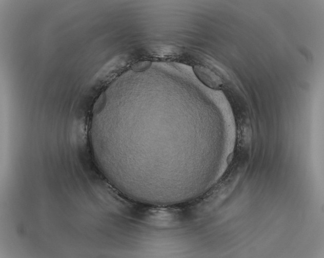 X0000114190558200911061405