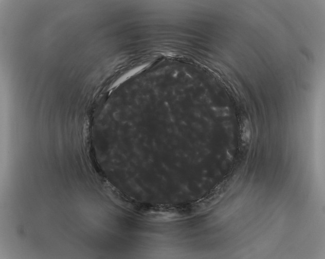 X0000114190559200911061405