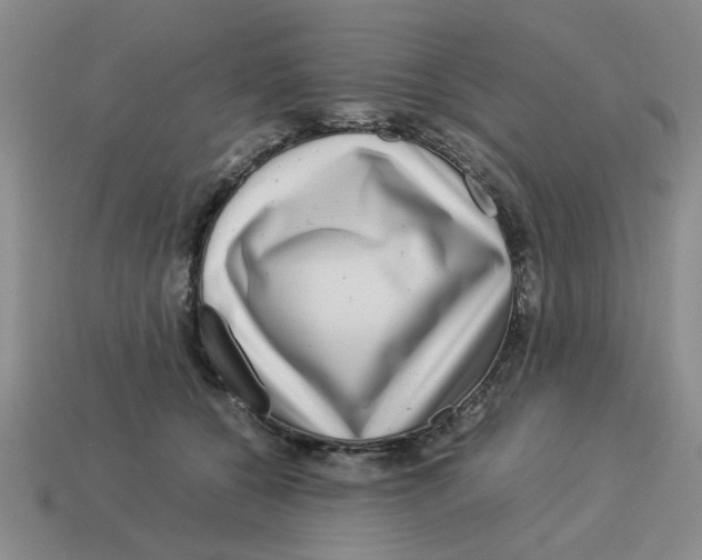 X0000114190560200911061405