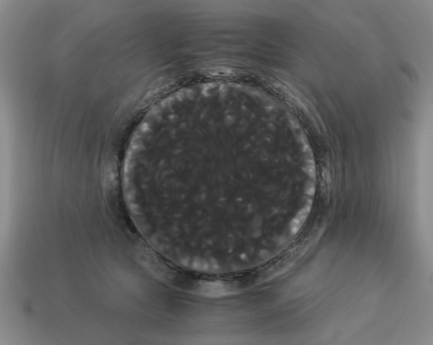 X0000114190561200911061405