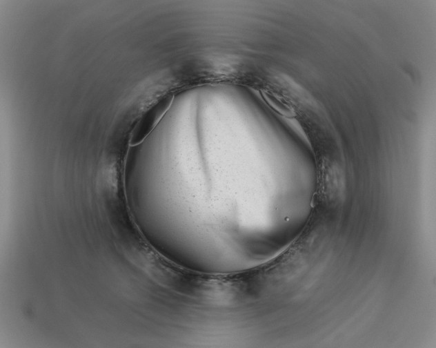 X0000114190562200911061406