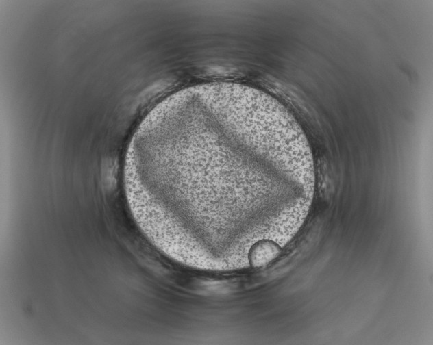 X0000114190563200911061406