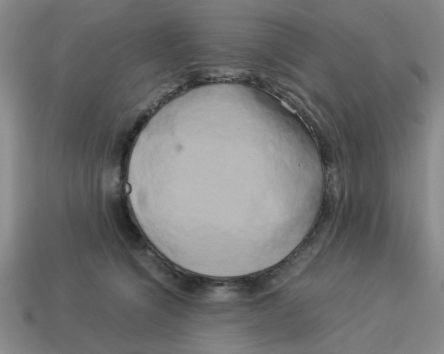 X0000114190564200911061406