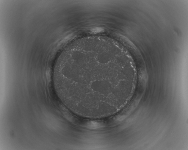 X0000114190565200911061406