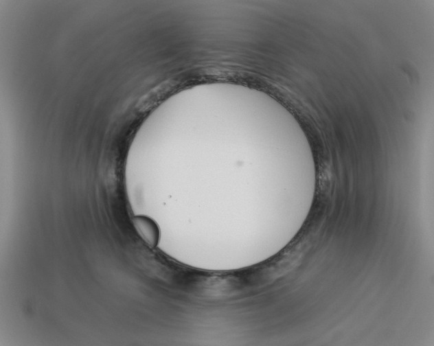 X0000114190566200911061406