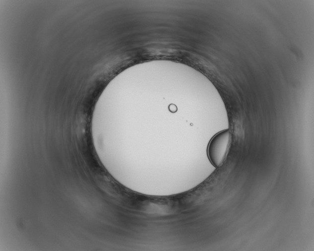 X0000114190567200911061406