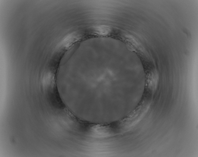 X0000114190568200911061406