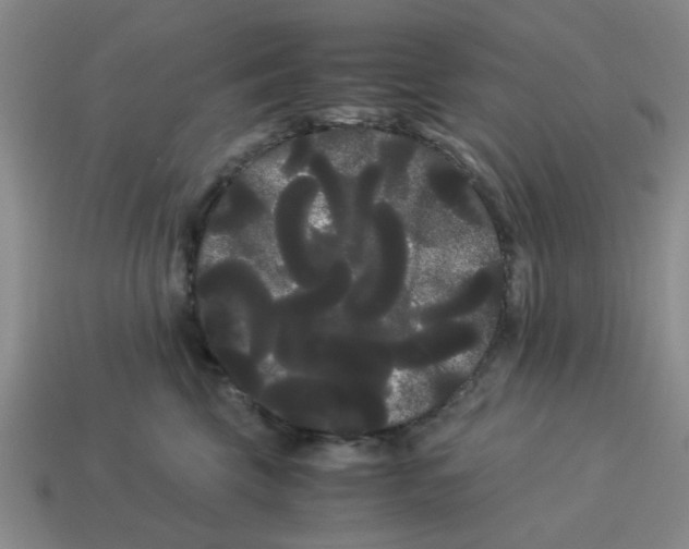 X0000114190569200911061406