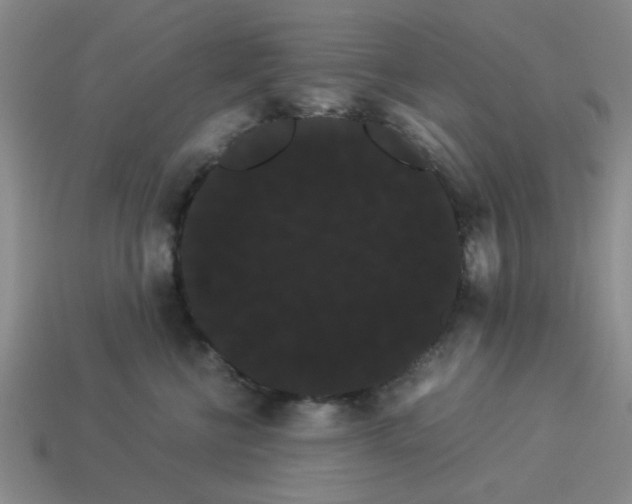 X0000114190570200911061406