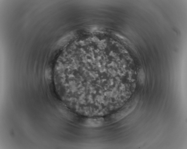 X0000114190571200911061406