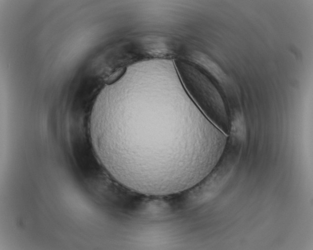 X0000114190572200911061406