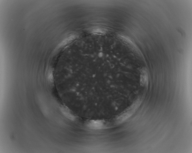 X0000114190573200911061406