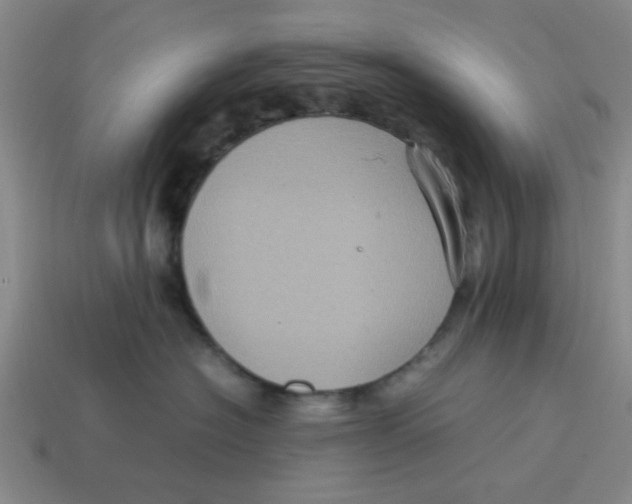 X0000114190574200911061406