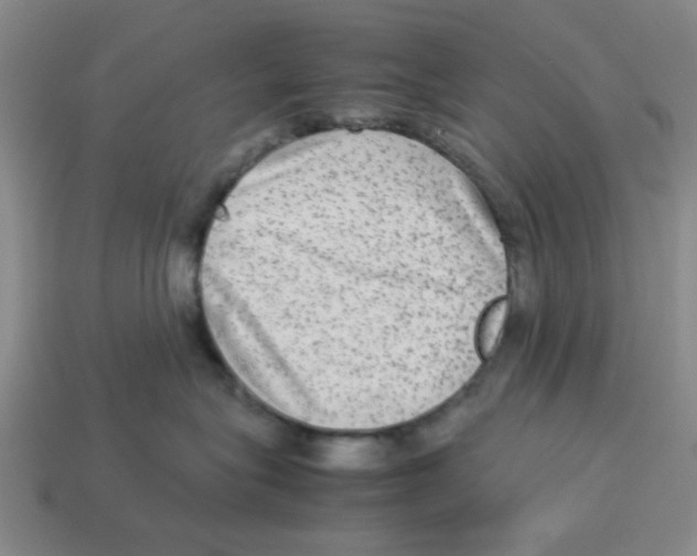 X0000114190575200911061406