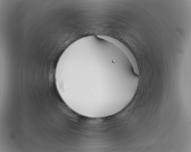 X0000114190576200911061406