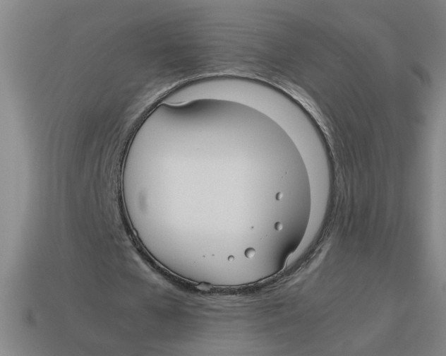 X0000114190577200911061405