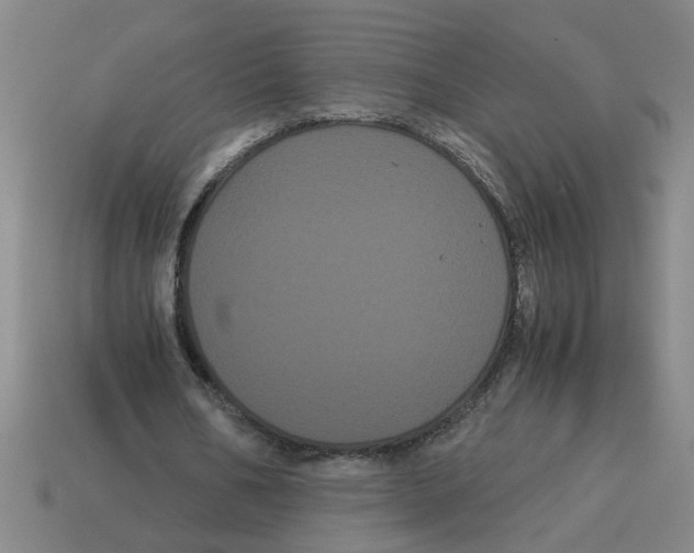 X0000114190578200911061405