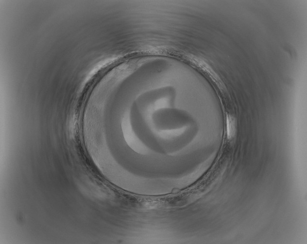 X0000114190579200911061405