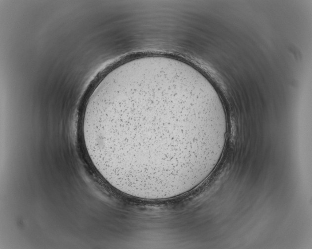 X0000114190580200911061405