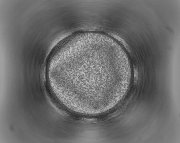 X0000114190582200911061405